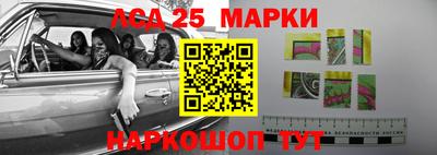 прущие грибы Краснокаменск