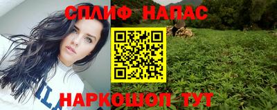 дмт Краснодар