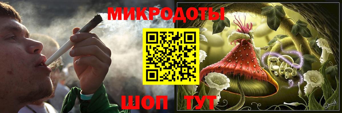 Псилоцибиновые грибы Psilocybe Кизляр
